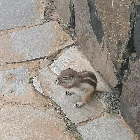 Antigua Bay- Casa Margarita * Costa De Antigua