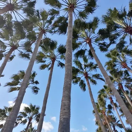 Antigua Bay- Casa Margarita Διαμέρισμα Costa De Antigua