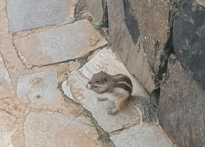 Antigua Bay- Casa Margarita * 코스타 데 안티과