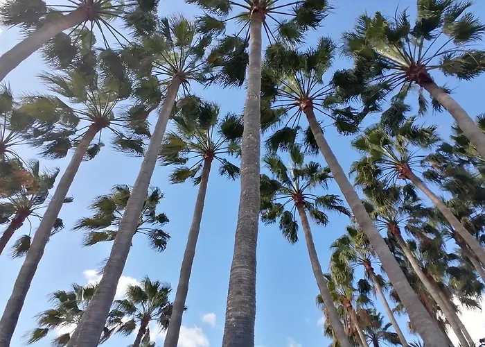 Antigua Bay- Casa Margarita 아파트 코스타 데 안티과